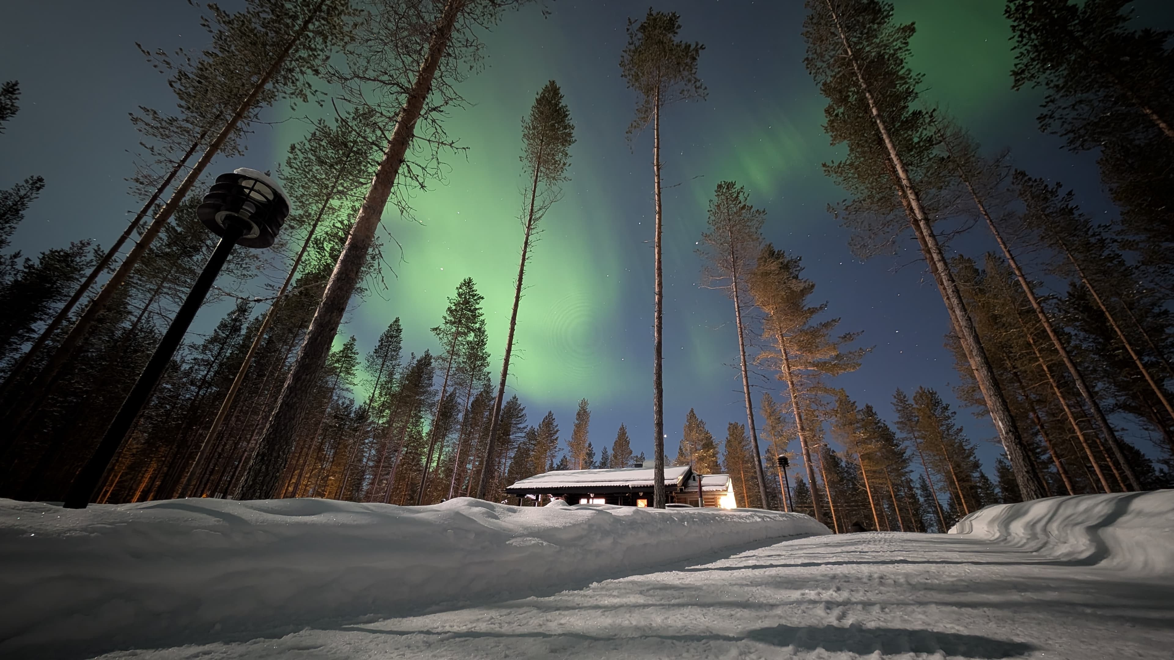 Die 3 besten Apps für die Nordlicht-Jagd: Vergiss Glück, nutze Daten!