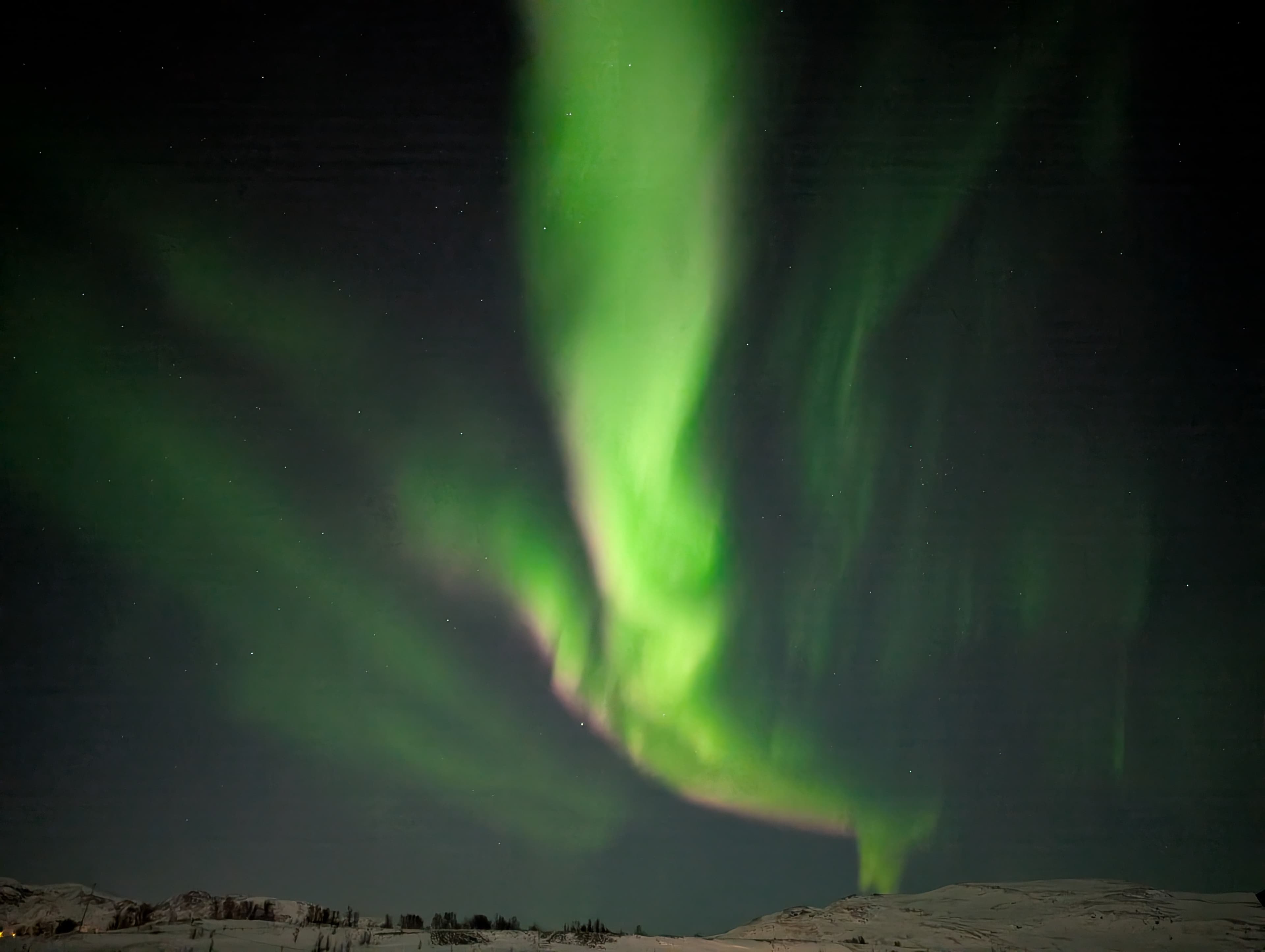 Grüne Polarlichtbänder über Kokelv