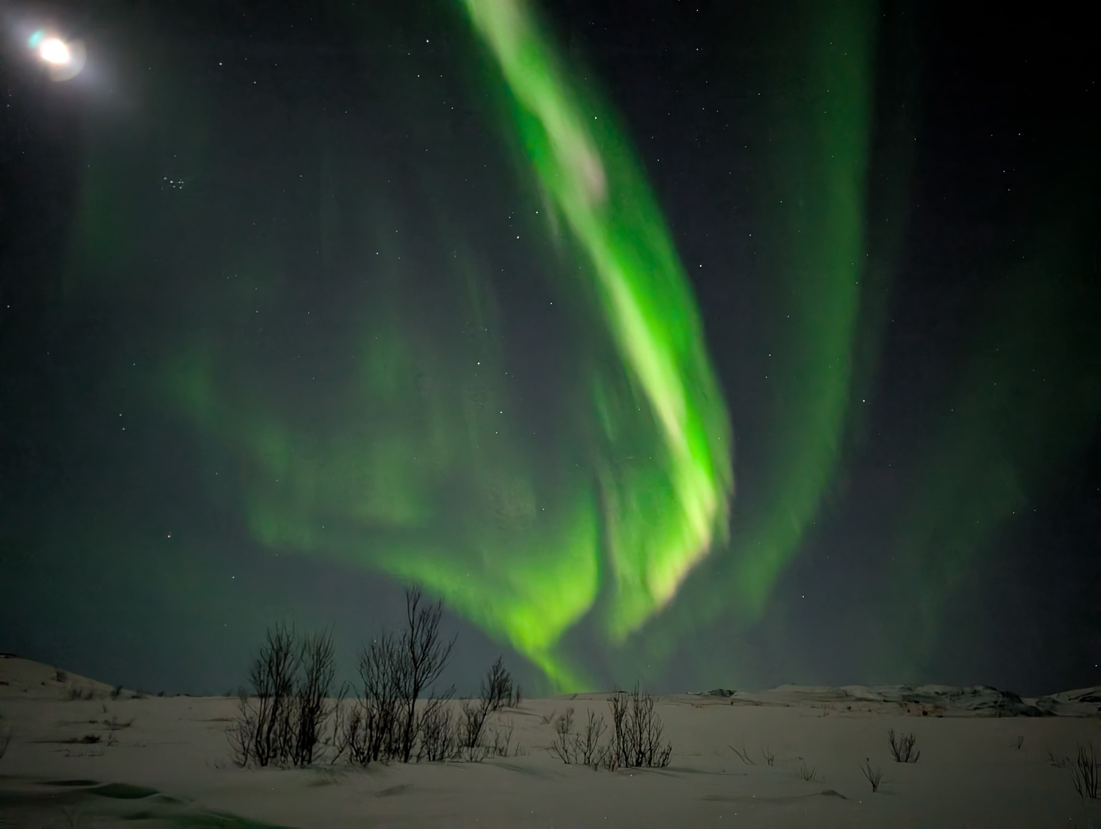 Aurora über dem Fjord