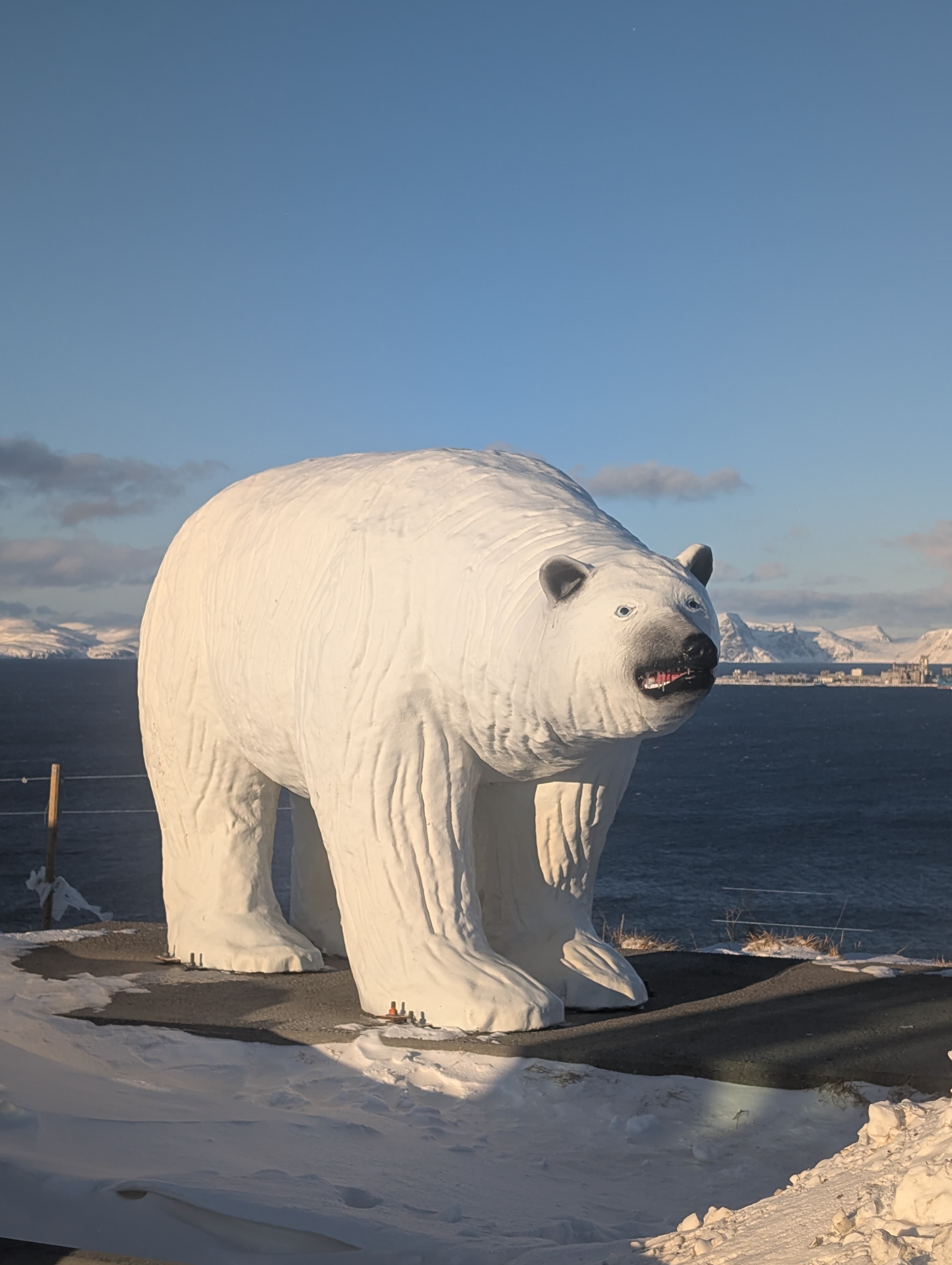 Die weiße Eisbären-Statue steht majestätisch am Hafen von Hammerfest mit Blick auf das Meer und schneebedeckte Berge im Hintergrund.