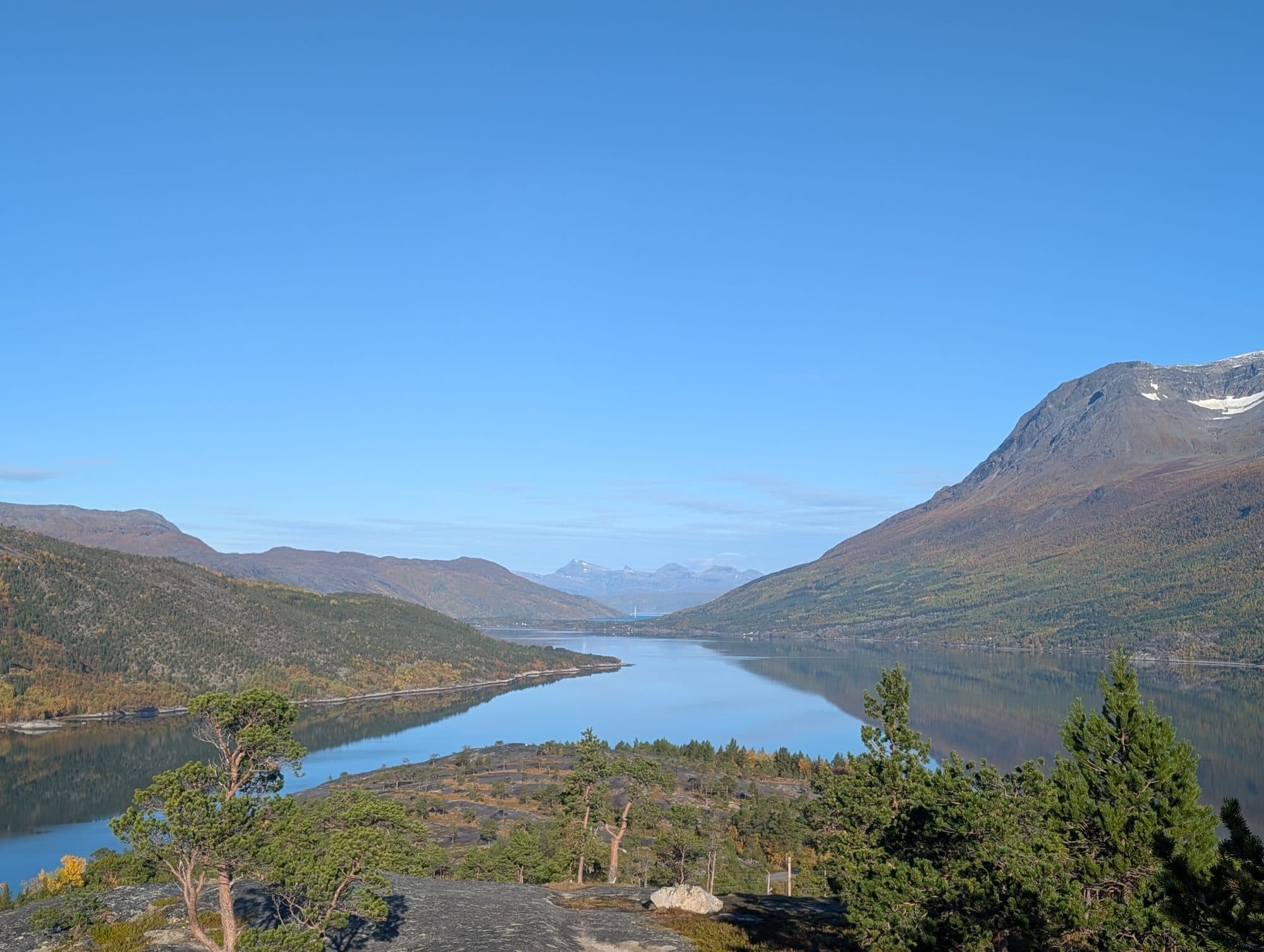 Weiter Blick von einem Aussichtspunkt über einen spiegelglatten Fjord bei Narvik, gesäumt von herbstlich verfärbten Berghängen.