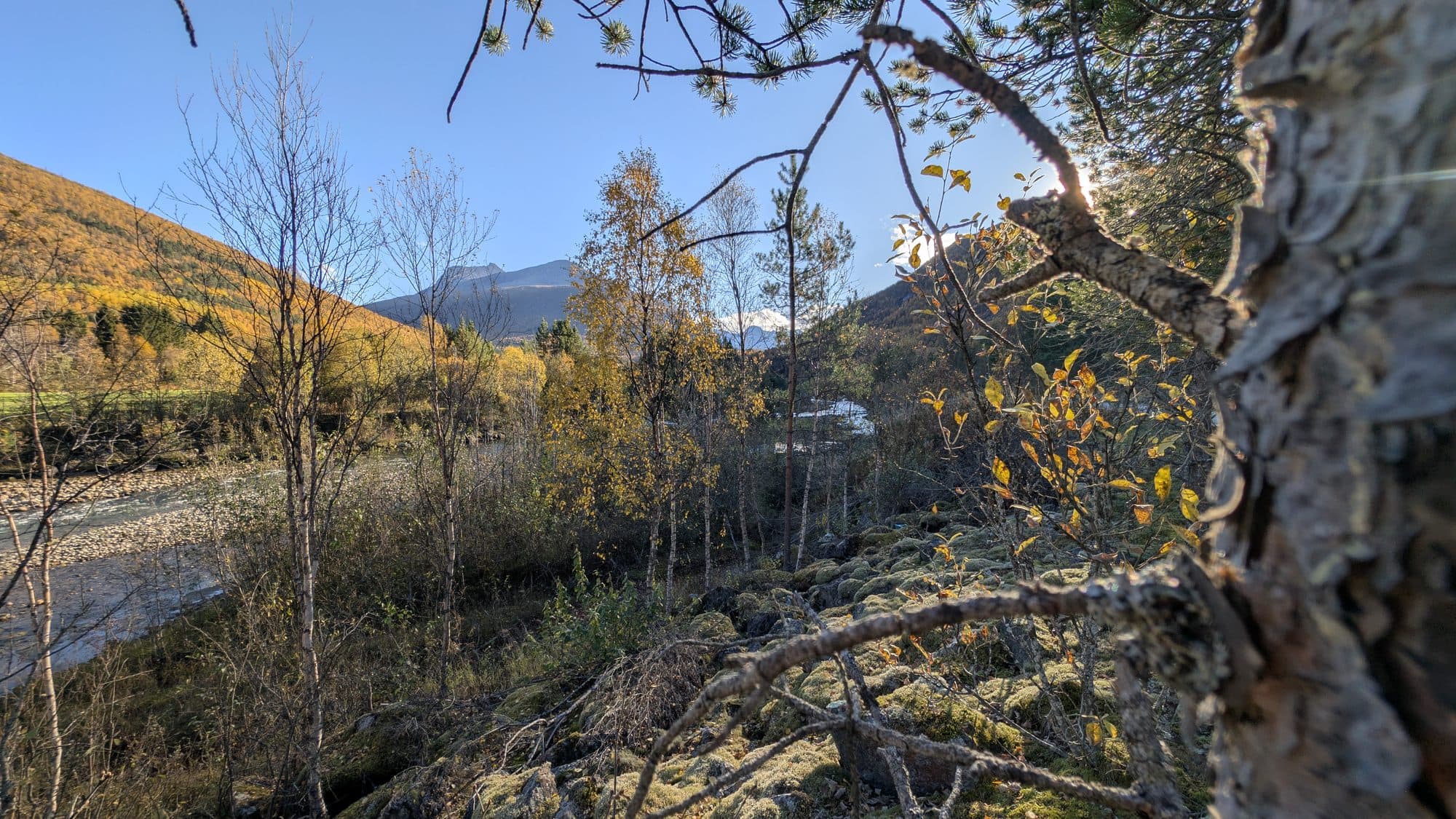 Ein sonniger Herbsttag zeigt einen Fluss, der sich durch eine von bunten Bäumen gesäumte Landschaft zieht.
