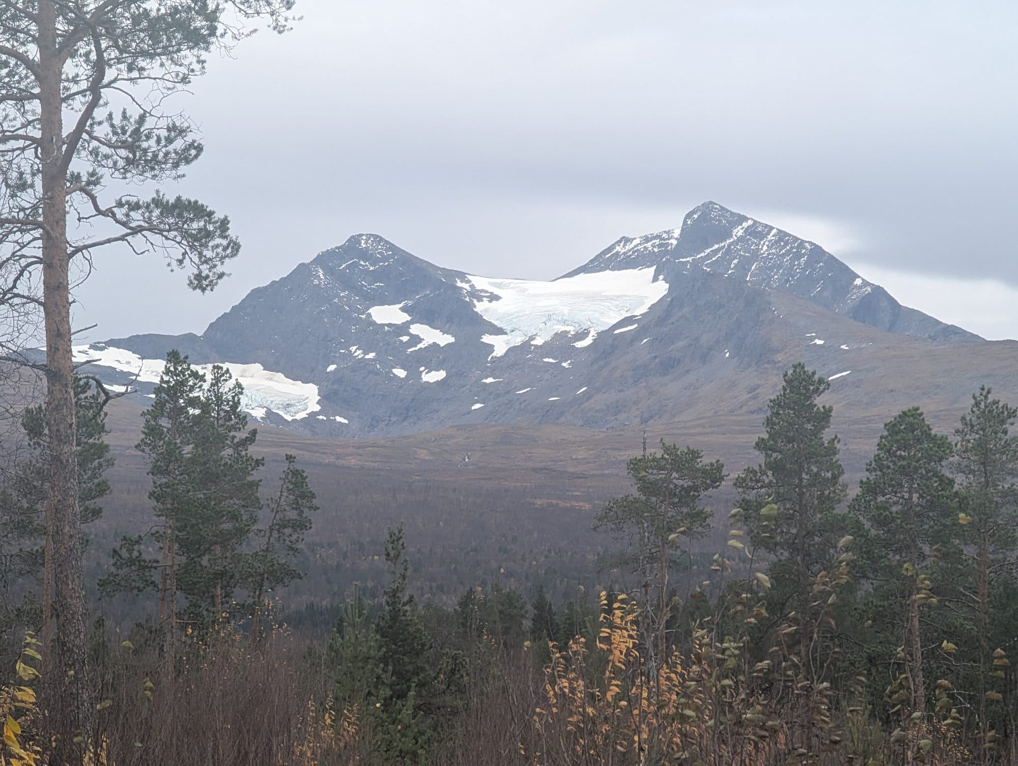 Majestätische, schneebedeckte Fjellgipfel mit Gletschern ragen unter einem bewölkten Himmel über einer herbstlichen Landschaft.
