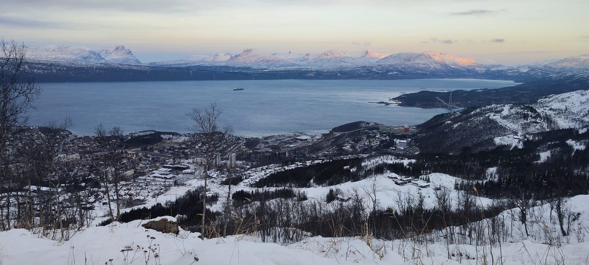 Blick auf Narvik und den Ofotfjord im Abendlicht, die Berggipfel leuchten rosa während ein Frachtschiff über das Wasser zieht.