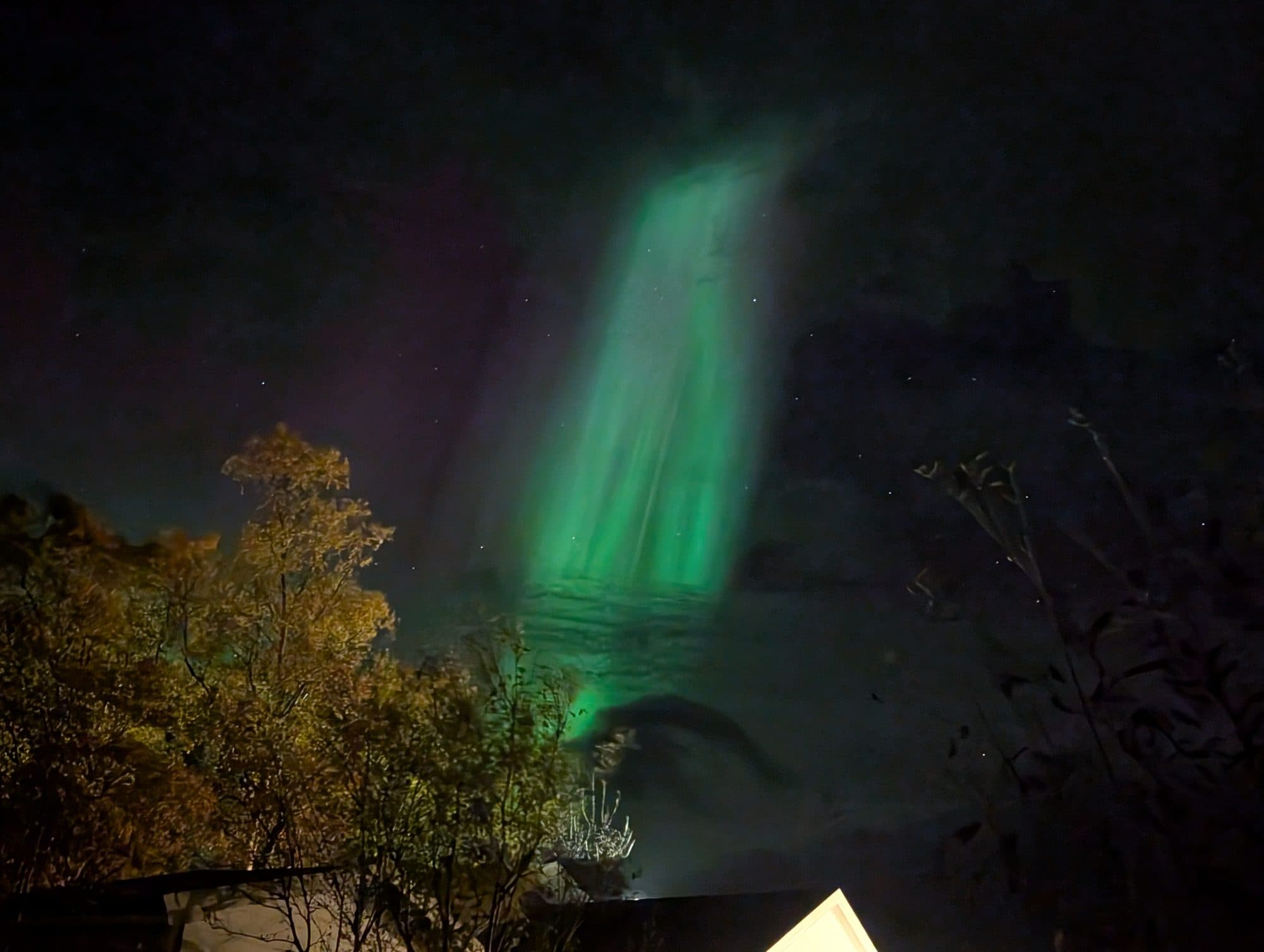 Eine grüne Polarlichtsäule spiegelt sich perfekt in stillem Wasser, gerahmt von herbstlichem Ufer.