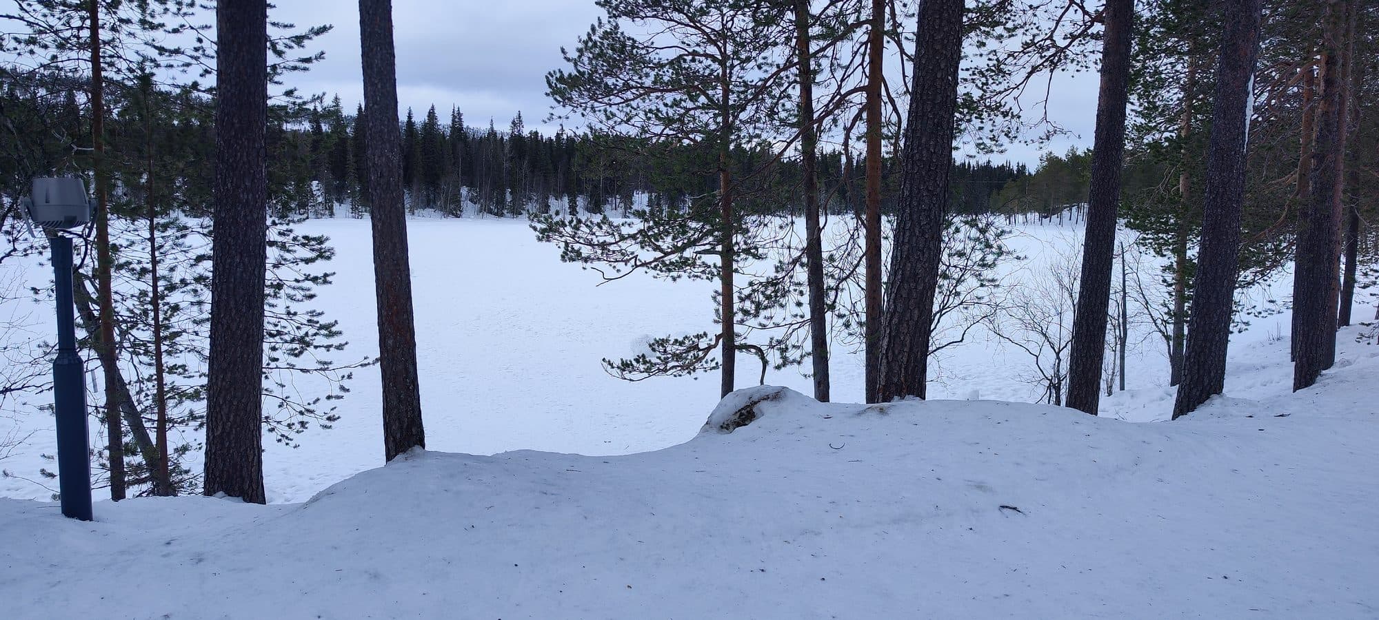 Blick durch schlanke Kiefernstämme auf einen zugefrorenen, schneebedeckten See unter bedecktem Himmel in Finnisch-Lappland.