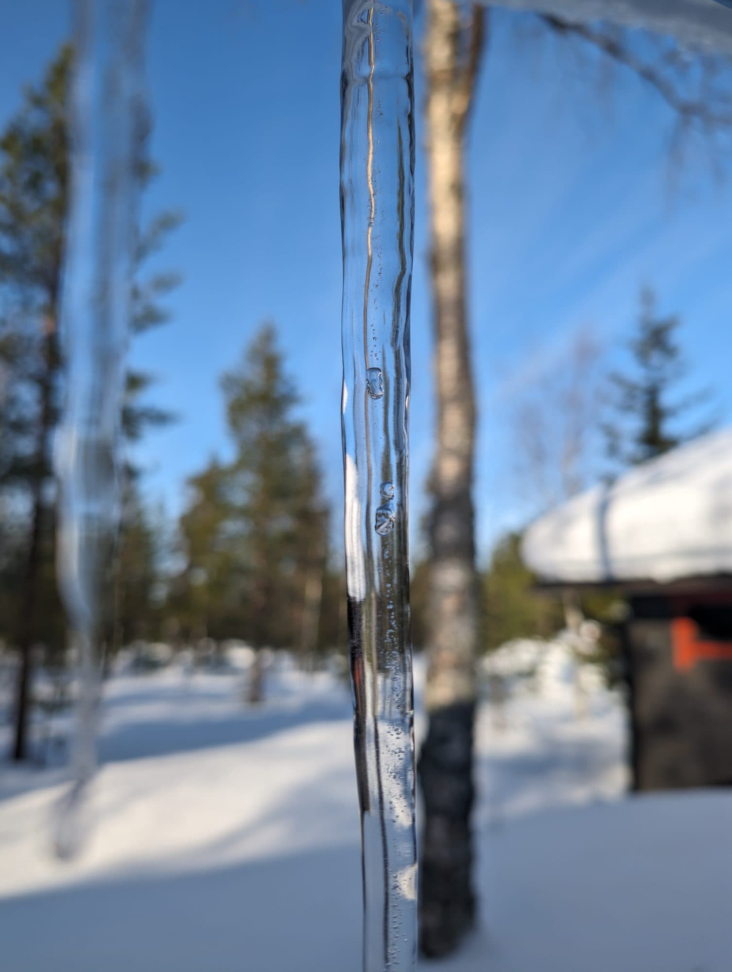 Ein glitzernder Eiszapfen hängt vor strahlend blauem Himmel und verschneitem Kiefernwald.