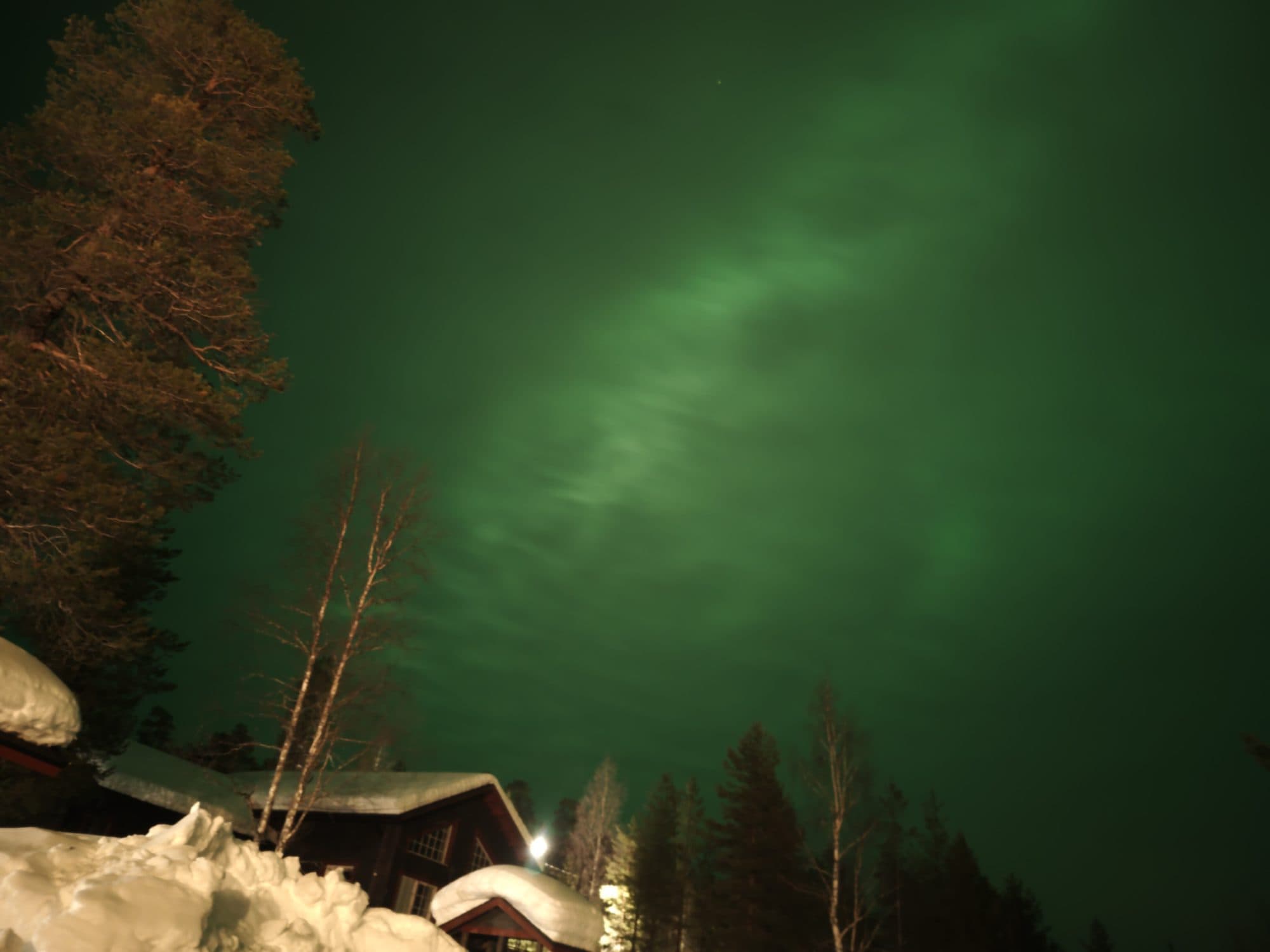 Kräftiges grünes Polarlicht wölbt sich über eine tief verschneite Holzhütte, gerahmt von einer markanten Kiefer.