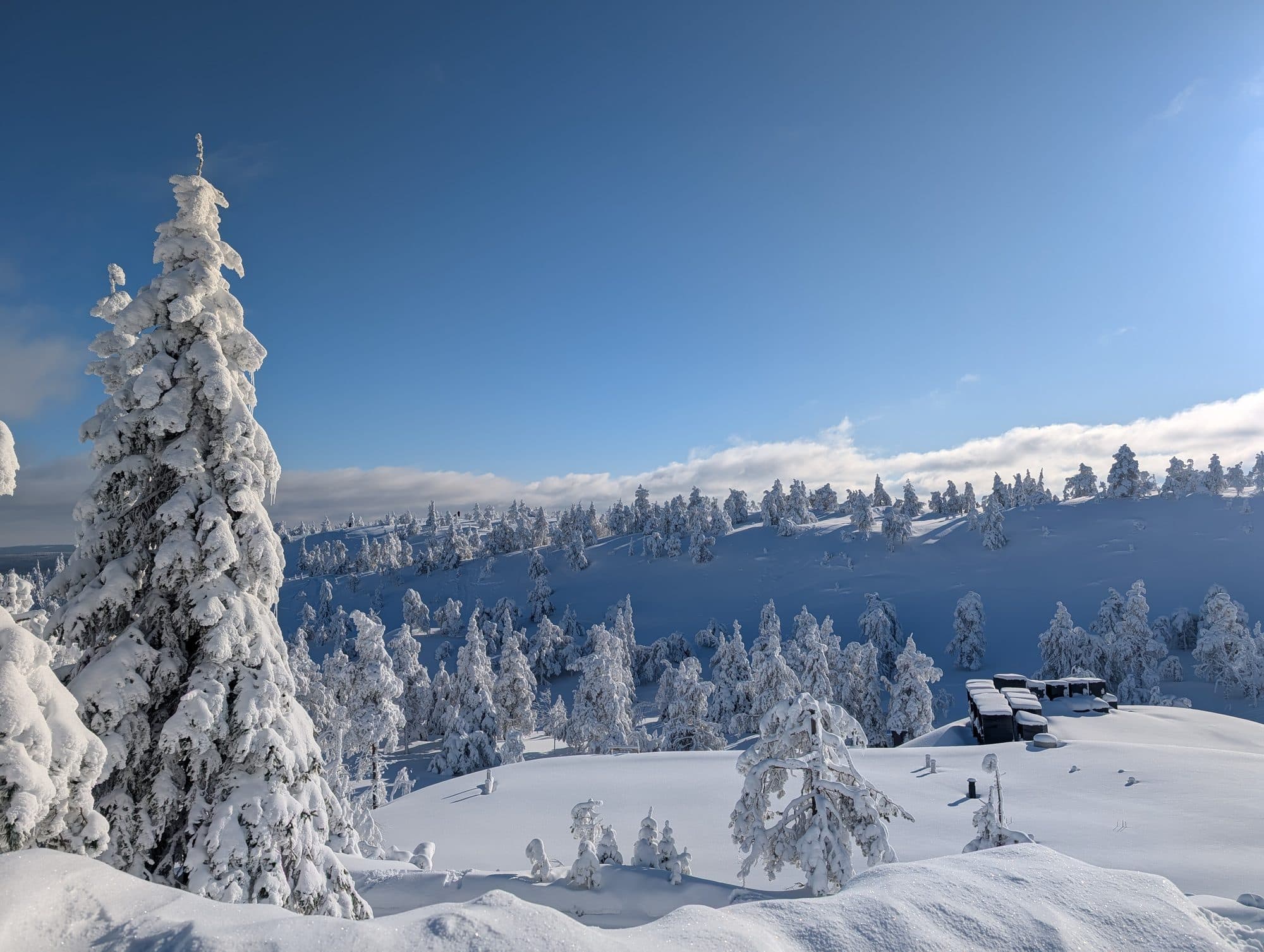 Panoramablick vom Fell bei Ruka über ein endloses, mit Raureif überzogenes Waldmeer bis zu kleinen verschneiten Holzhütten, gerahmt von einer schneebeladenen Tanne im Vordergrund.