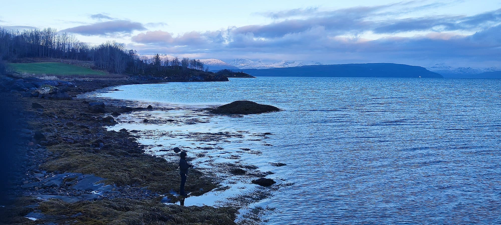 Eine Person steht als Silhouette am felsigen Fjordufer und blickt über das ruhige Wasser, im Hintergrund schneebedeckte Berge unter zart rosa gefärbten Wolken.