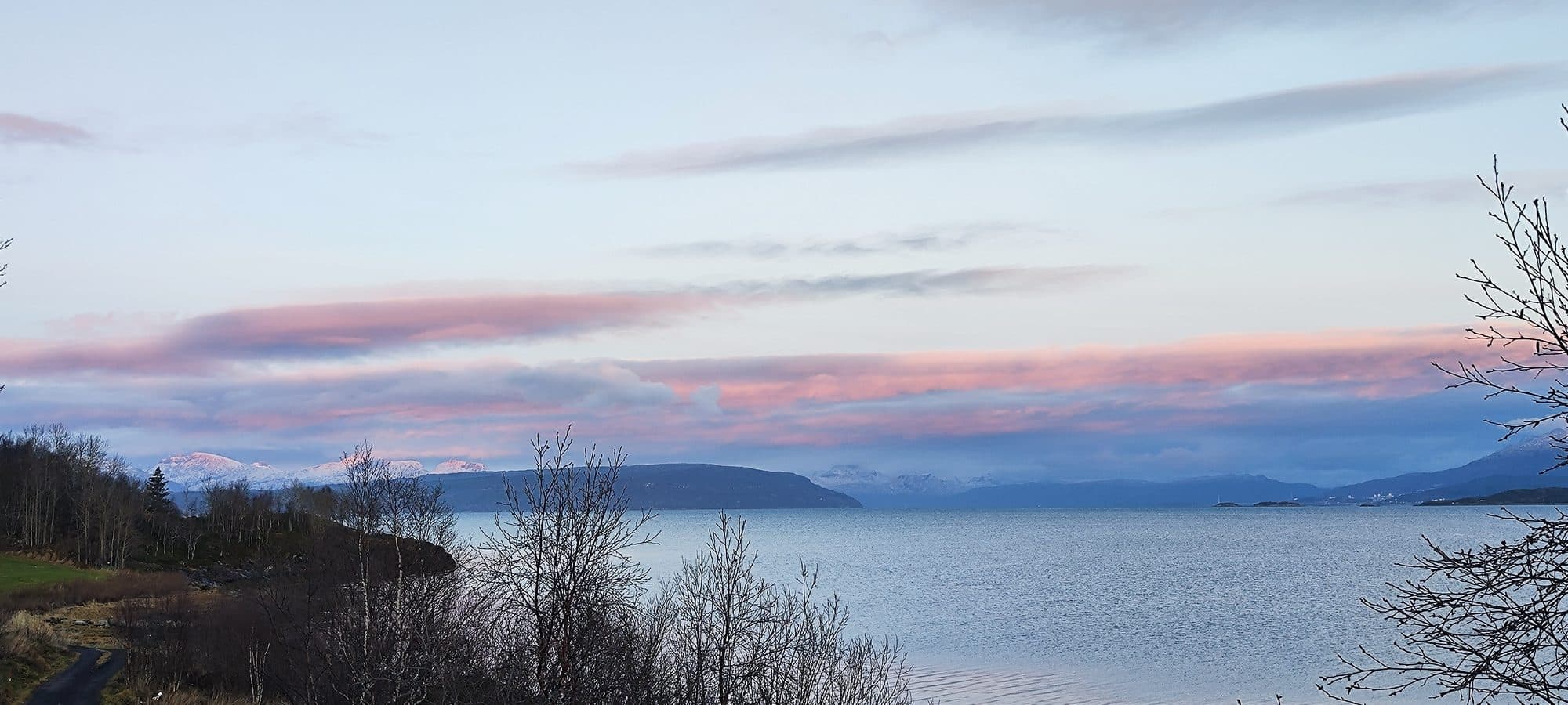 Abendstimmung über dem Fjord bei Ballangen: rosafarbene Wolkenbänder ziehen über schneebedeckte Berggipfel, im Vordergrund kahle Birken am Ufer.