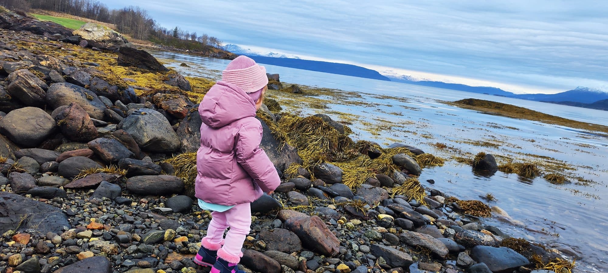 Von hinten fotografiert blickt ein kleines Mädchen in rosa Jacke über den tangbedeckten Steinstrand auf den weiten Fjord mit schneebedeckten Bergen am Horizont.