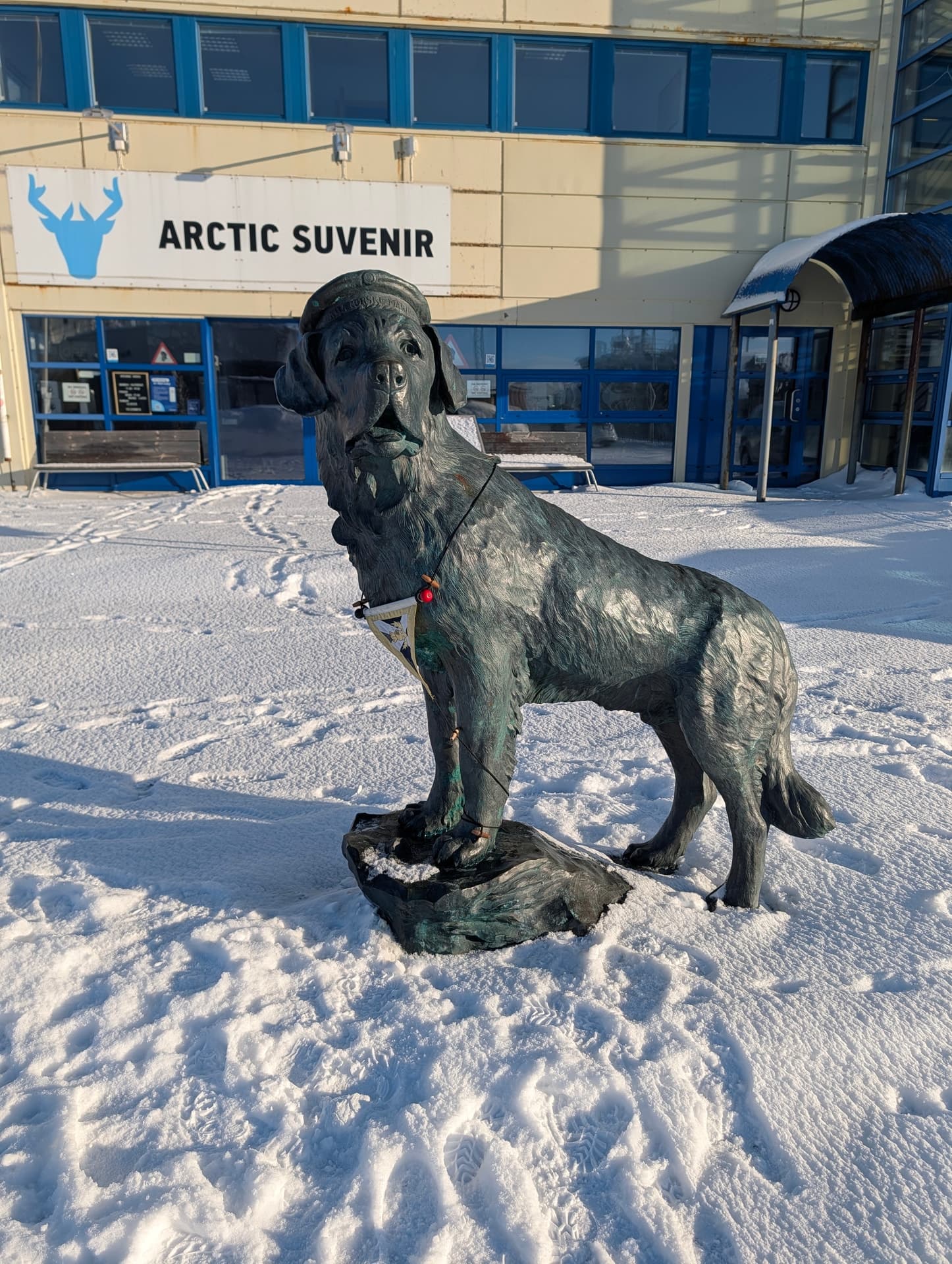 Eine Bronzestatue eines Hundes steht im Schnee vor einem Geschäft mit der Aufschrift 'Arctic Souvenir'. Die Szene vermittelt eine ruhige, winterliche Atmosphäre in einer nordnorwegischen Stadt.