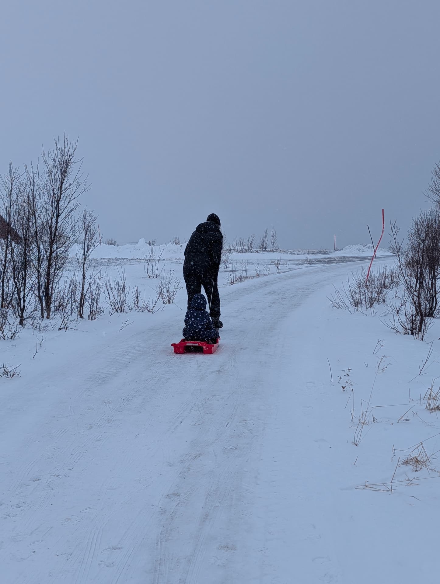 Vater zieht ein Kind auf einem roten Plastikschlitten über eine verschneite Straße in der Finnmark — entspannter Winteralltag abseits der gebuchten Touren.