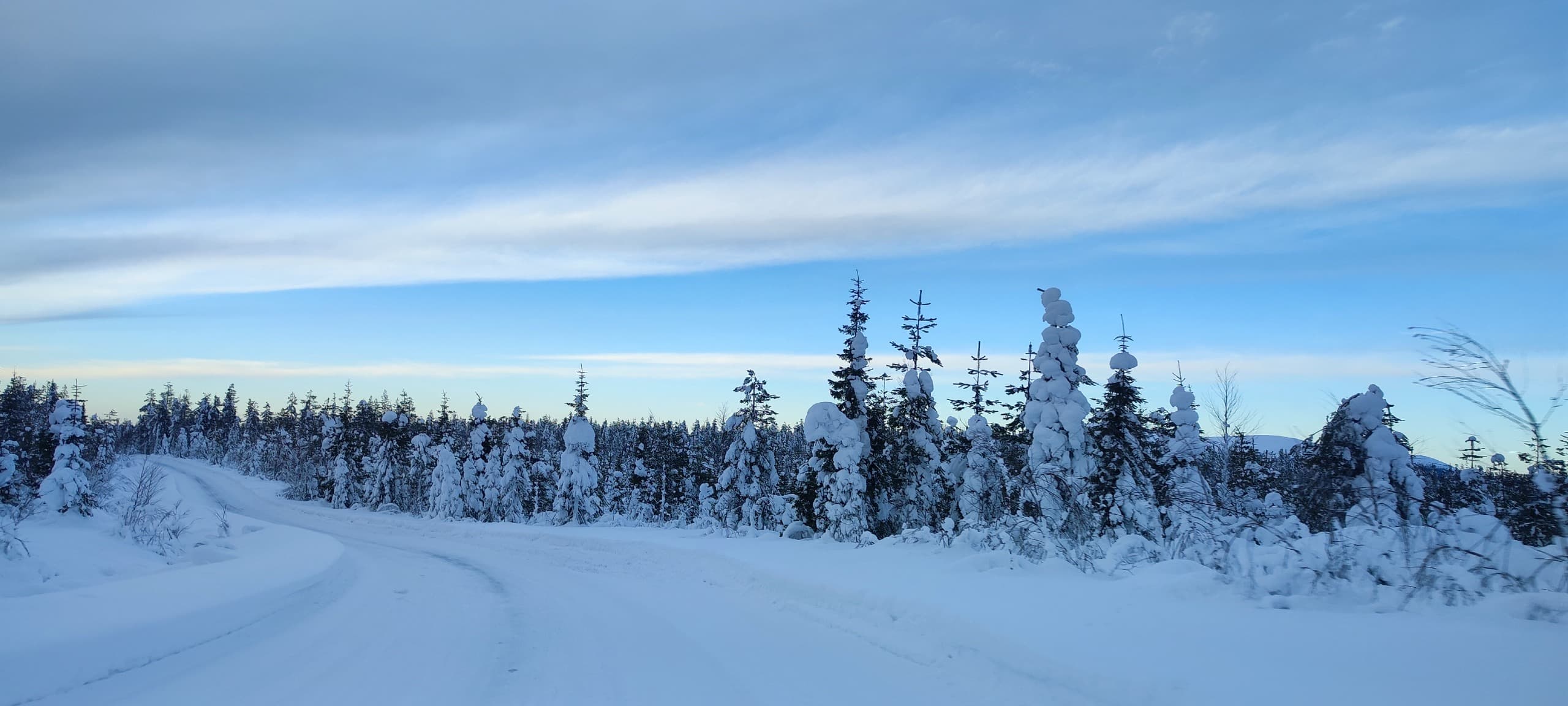 Dunkle Straße im Winter