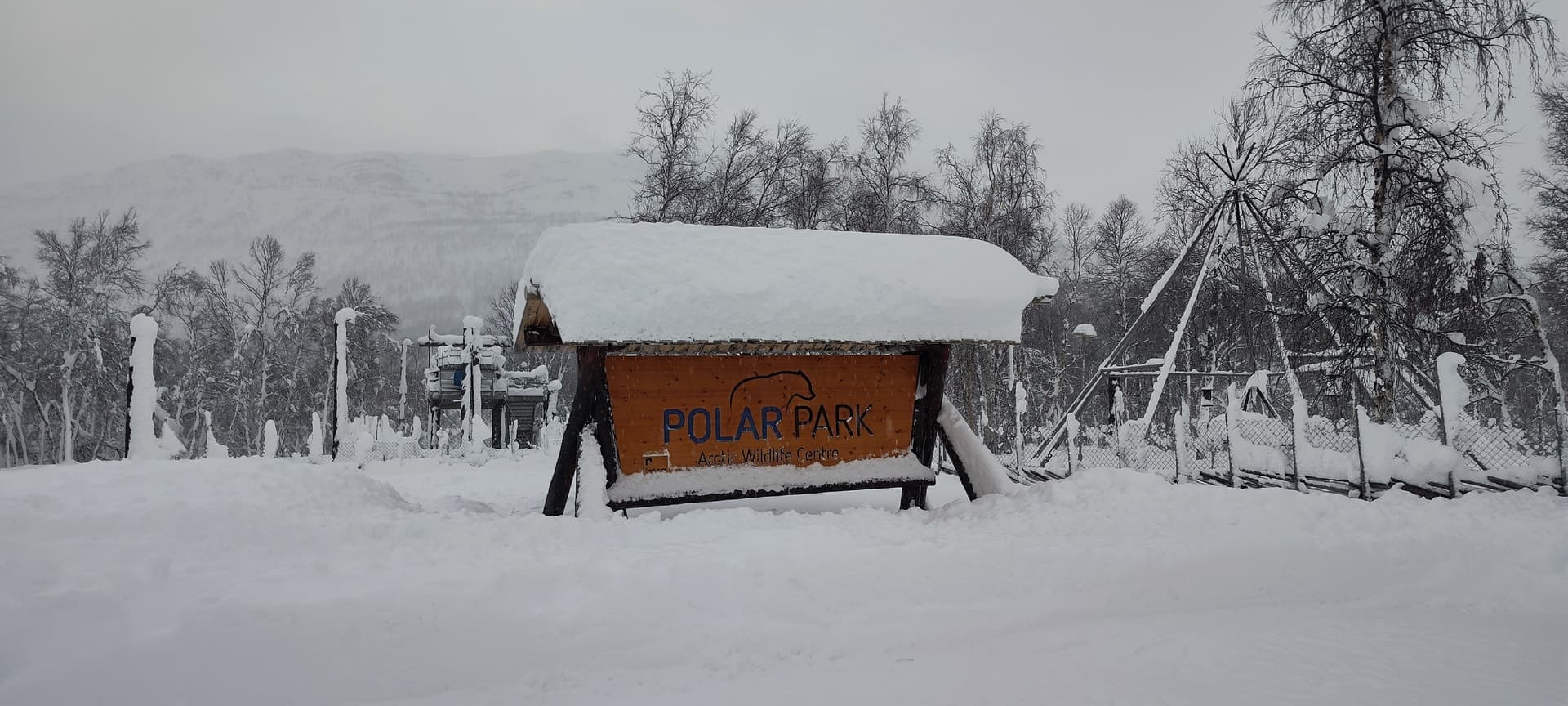 Das schneebedeckte Eingangsschild des Polar Park Arctic Wildlife Centre bei Narvik, umgeben von winterlichen Birken, verschneiten Bergen und einem Lavvu-Gerüst im Hintergrund.