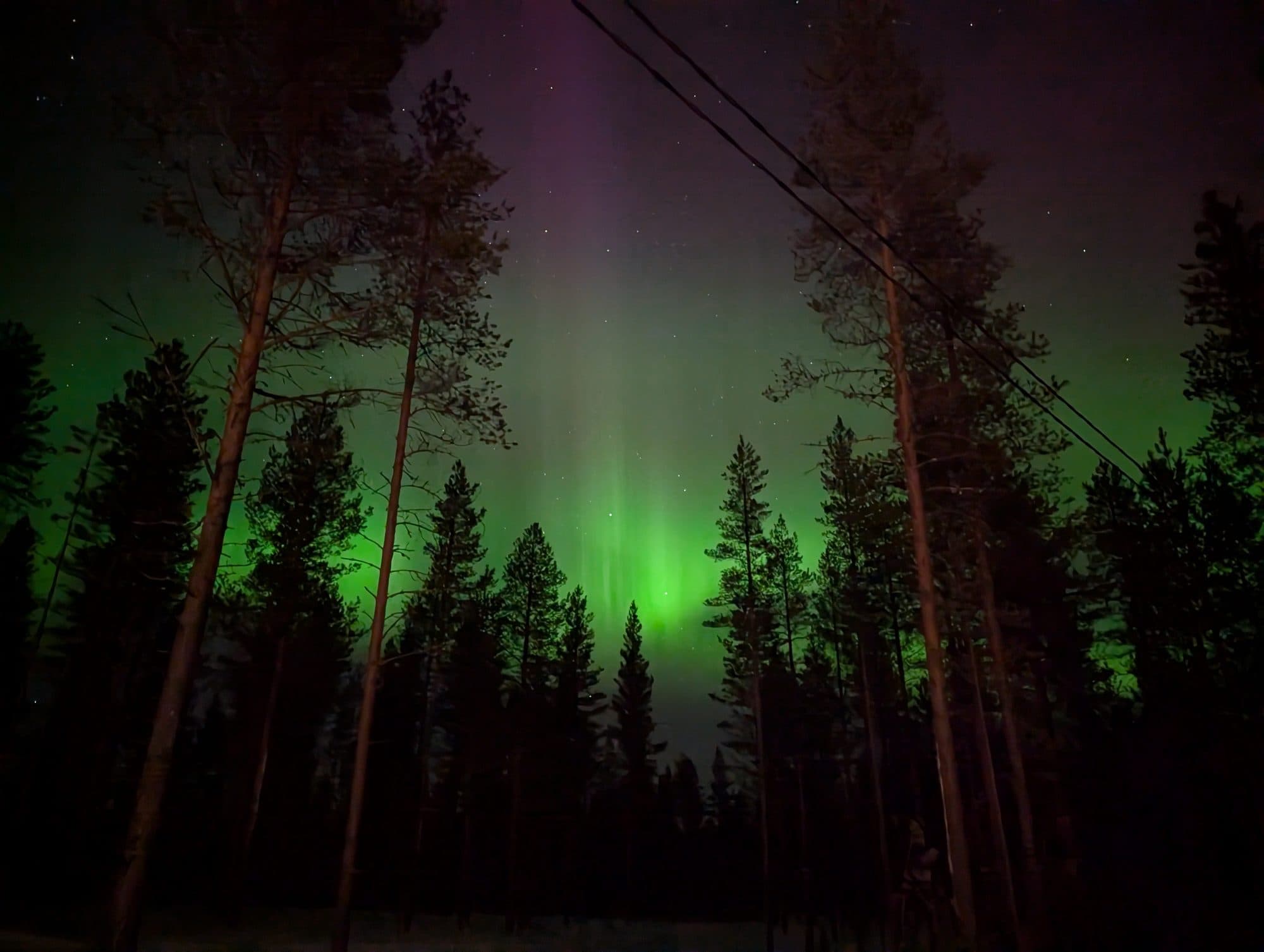Eine intensive grün-violette Polarlicht-Säule steigt über dem verschneiten Wald bei Kuusamo auf.