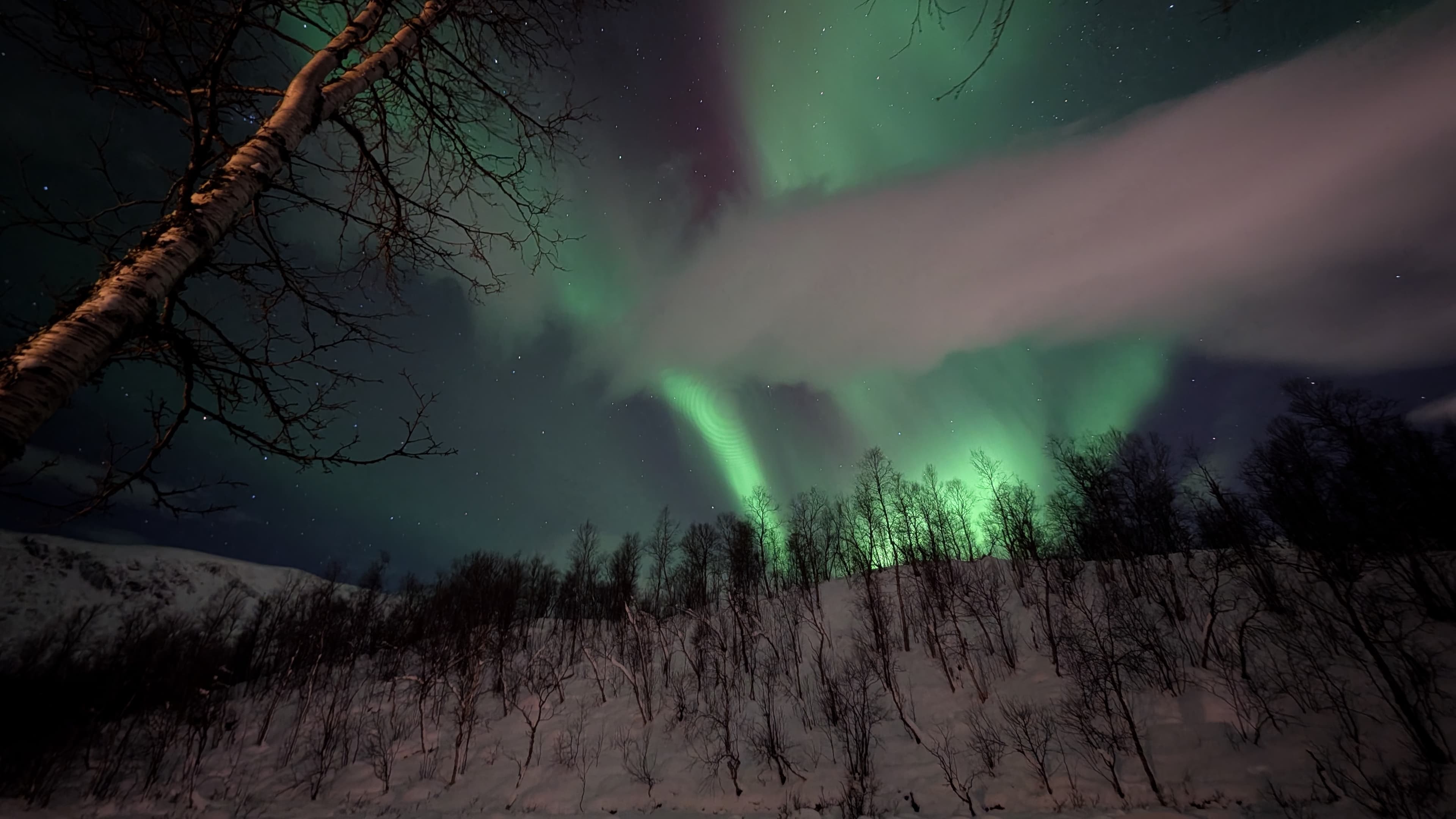 Starke Aurora-Aktivität