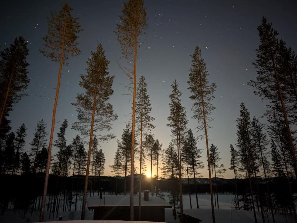 Verschneite Landschaft im hellen Mondschein