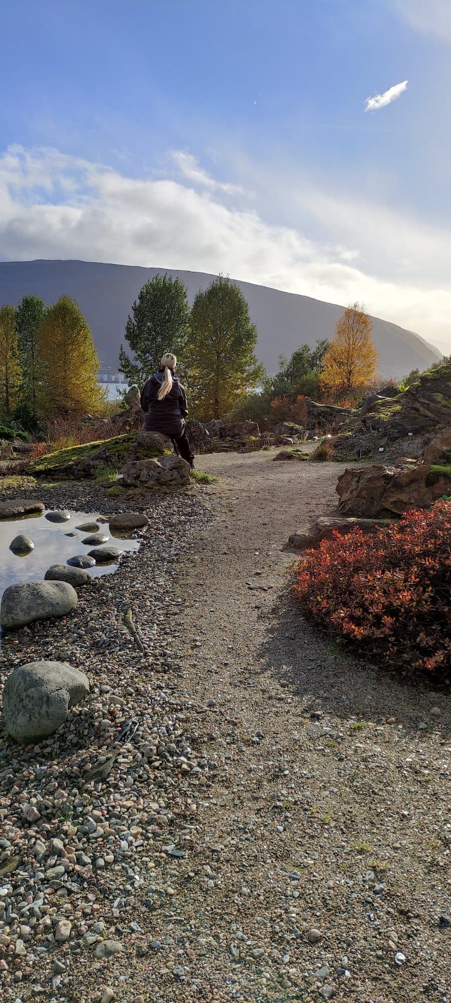 Frau steht auf einem Kiesweg im Botanischen Garten Tromsø zwischen Felsbeeten, herbstlich gefärbten Bäumen und einem kleinen Teich, dahinter ein Berg im Sonnenlicht.